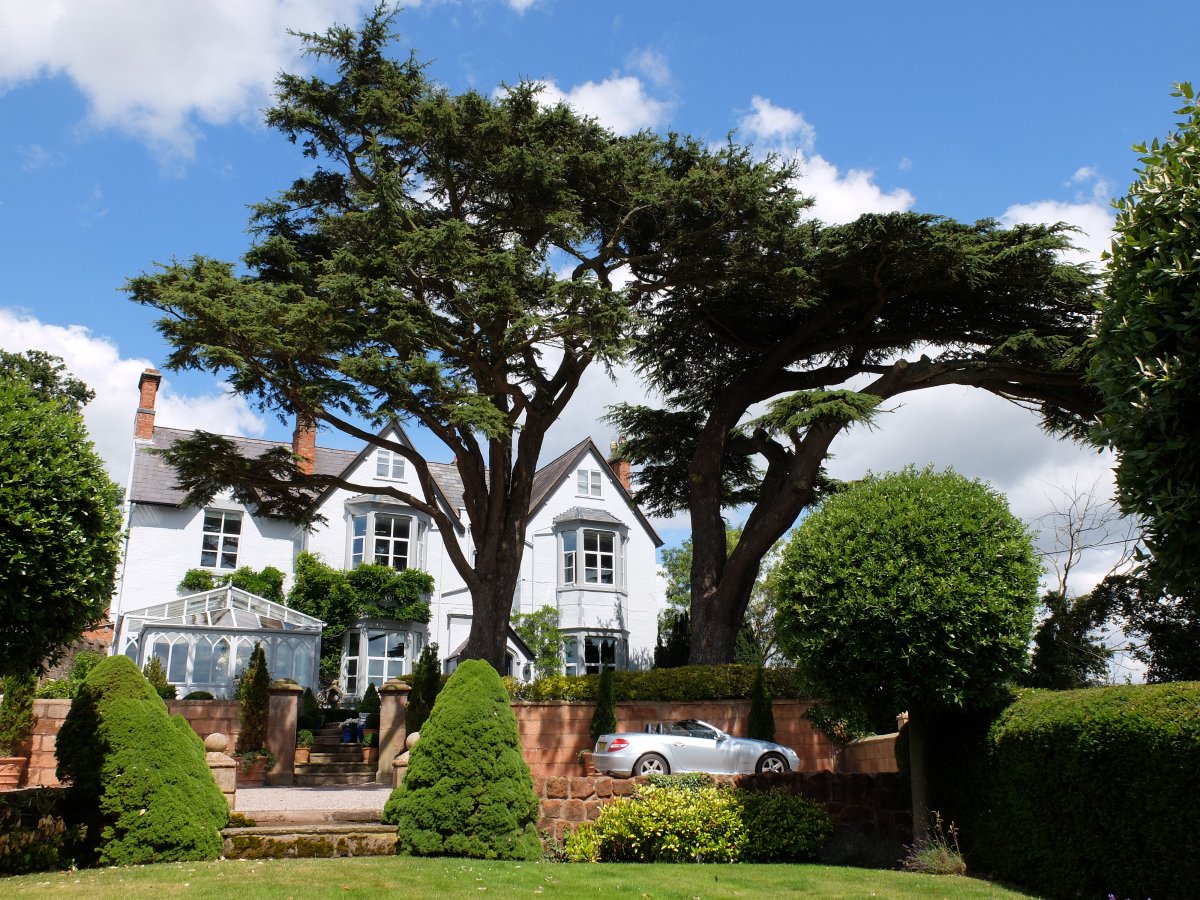 Wollaston Lodge with spectacular Cedar Trees in front